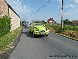 Zandlemig Vlaanderen